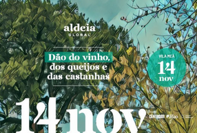 “Aldeia Global” é o novo projeto de valorização da aldeia de Vila Meã, em Viseu