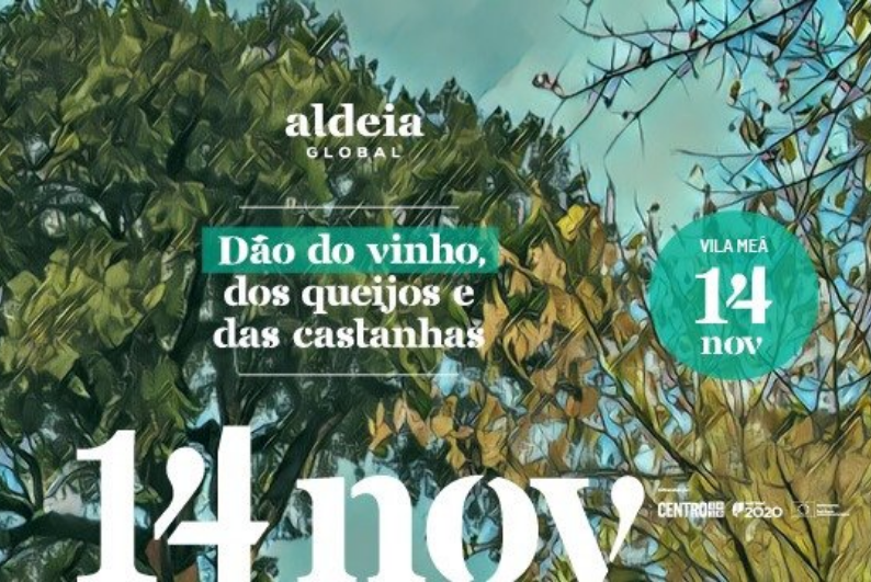 “Aldeia Global” é o novo projeto de valorização da aldeia de Vila Meã, em Viseu